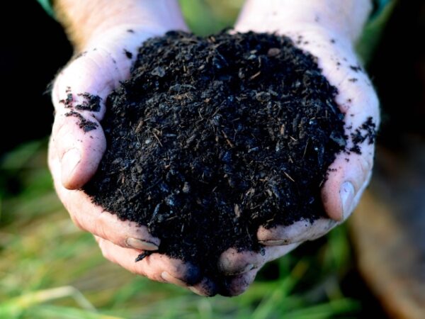 Fine Grade Compost